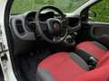 Fiat Panda 0.9 TwinAir | slechts 72.594 km | Elektrische rame Blanc - thumbnail 6