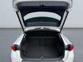 CUPRA Formentor 1.5 TSI DSG *LED*AHK*el Heck*ACC*RCam* Weiß - thumbnail 18