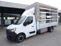 Renault Master T35 2.3 dCi 145 TP PL-SL-RG Gran Volume 22 Ice Plu Bianco - thumbnail 5