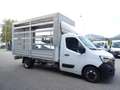 Renault Master T35 2.3 dCi 145 TP PL-SL-RG Gran Volume 22 Ice Plu Bianco - thumbnail 2