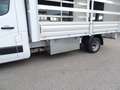 Renault Master T35 2.3 dCi 145 TP PL-SL-RG Gran Volume 22 Ice Plu Bianco - thumbnail 15