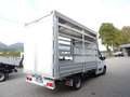 Renault Master T35 2.3 dCi 145 TP PL-SL-RG Gran Volume 22 Ice Plu Bianco - thumbnail 3