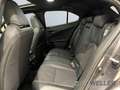 Lexus UX 250h Executive Line *Pano*HUD*CarPlay* siva - thumbnail 13