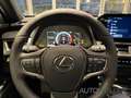 Lexus UX 250h Executive Line *Pano*HUD*CarPlay* Grey - thumbnail 15