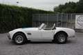 AC Cobra 427 Réplique Weiß - thumbnail 4
