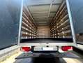 Volkswagen Crafter Crafter PRO Chasis DCb. BMT 50 BL 136 Batalla Larga Blanco - thumbnail 17