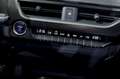 Lexus UX 300e Business Gris - thumbnail 38