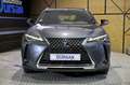 Lexus UX 300e Business Gris - thumbnail 2