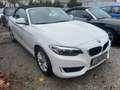 BMW 220 i Cabrio KLIMA TÜV NEU 1-JAHR GARANTIE !!! Blanco - thumbnail 4