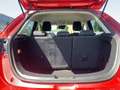 Mazda 2 1.5 SKYACTIV-G 90 Nakama *LM*KlimaA*PDC*SHZ Red - thumbnail 7