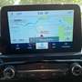 Ford Kuga ST-Line X 4x4 Technologie+Fahrerassistenz Schwarz - thumbnail 14