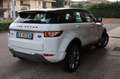 Land Rover Range Rover Evoque 2.2 Sd4 5p. Pure Tech  4x4 cambio manuale Alb - thumbnail 11