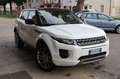 Land Rover Range Rover Evoque 2.2 Sd4 5p. Pure Tech  4x4 cambio manuale Alb - thumbnail 13