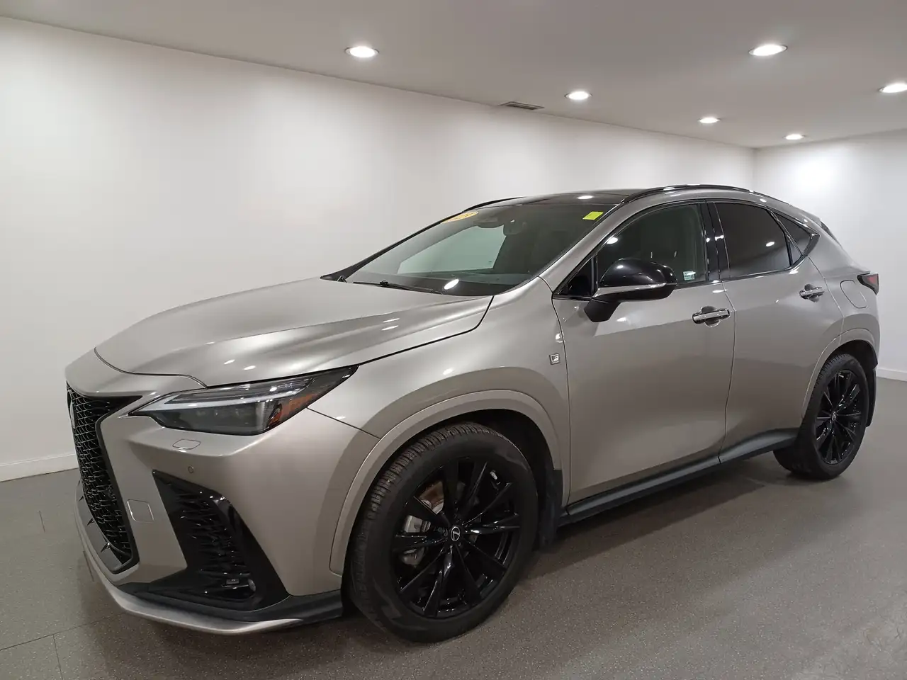 Lexus NX снимка Lexus NX