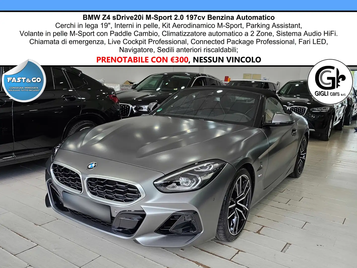 BMW Z4 M-Sport C.Lega19" Navi PDC Paddle MSport M Sport Сірий - 1