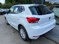 SEAT Ibiza Road Edition 1.0 TSI DSG VC, PDC, RVC Weiß - thumbnail 6
