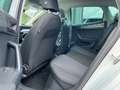SEAT Ibiza Road Edition 1.0 TSI DSG VC, PDC, RVC Weiß - thumbnail 8
