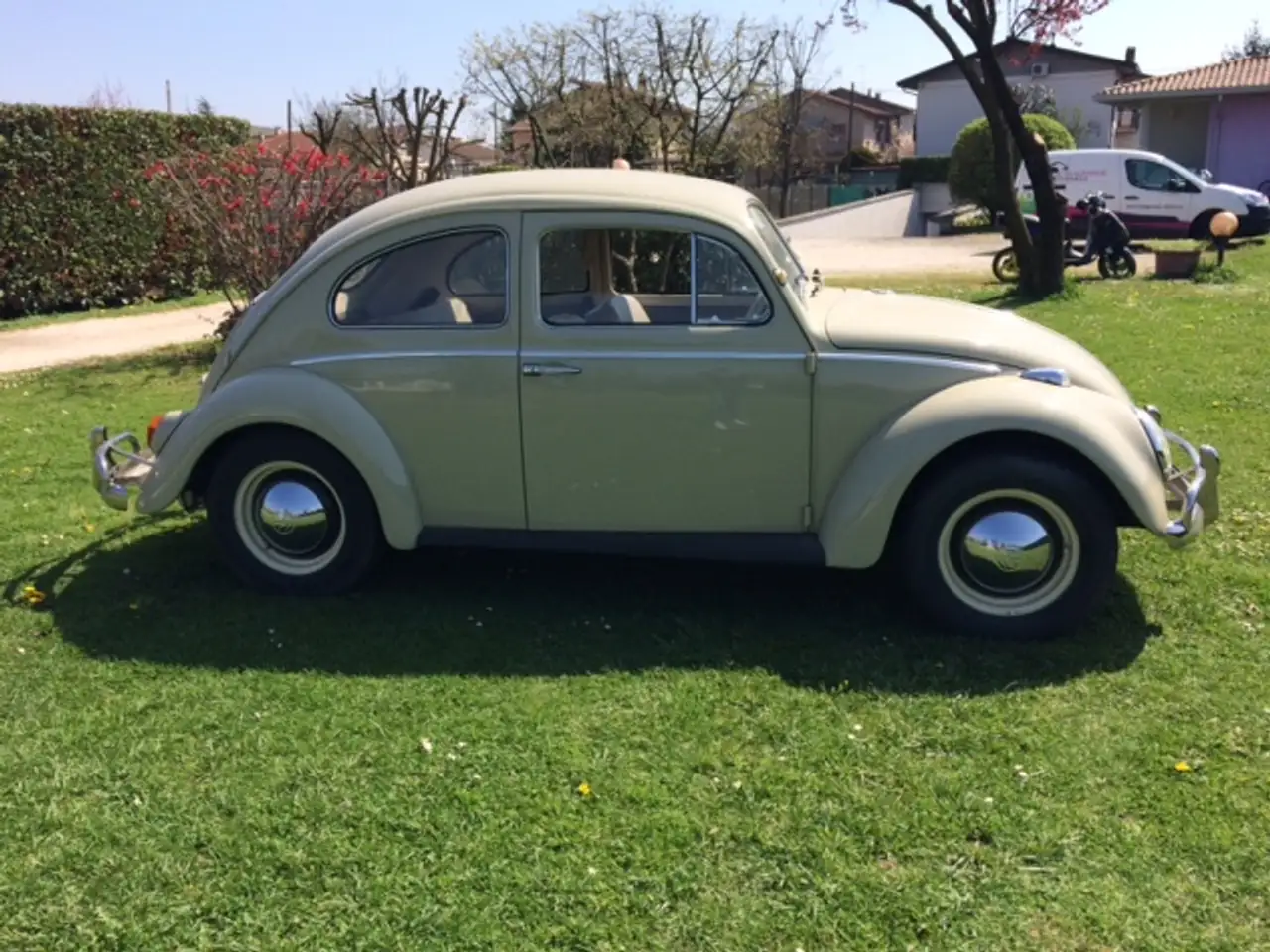 Volkswagen Others 1964