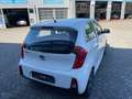 Kia Picanto 1.2 Automatik Spirit  NEUER MOTOR  ATM. 10km Weiß - thumbnail 5