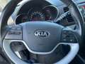 Kia Picanto 1.2 Automatik Spirit  NEUER MOTOR  ATM. 10km Weiß - thumbnail 9