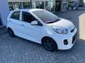 Kia Picanto 1.2 Automatik Spirit  NEUER MOTOR  ATM. 10km Weiß - thumbnail 4