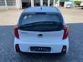 Kia Picanto 1.2 Automatik Spirit  NEUER MOTOR  ATM. 10km Weiß - thumbnail 6