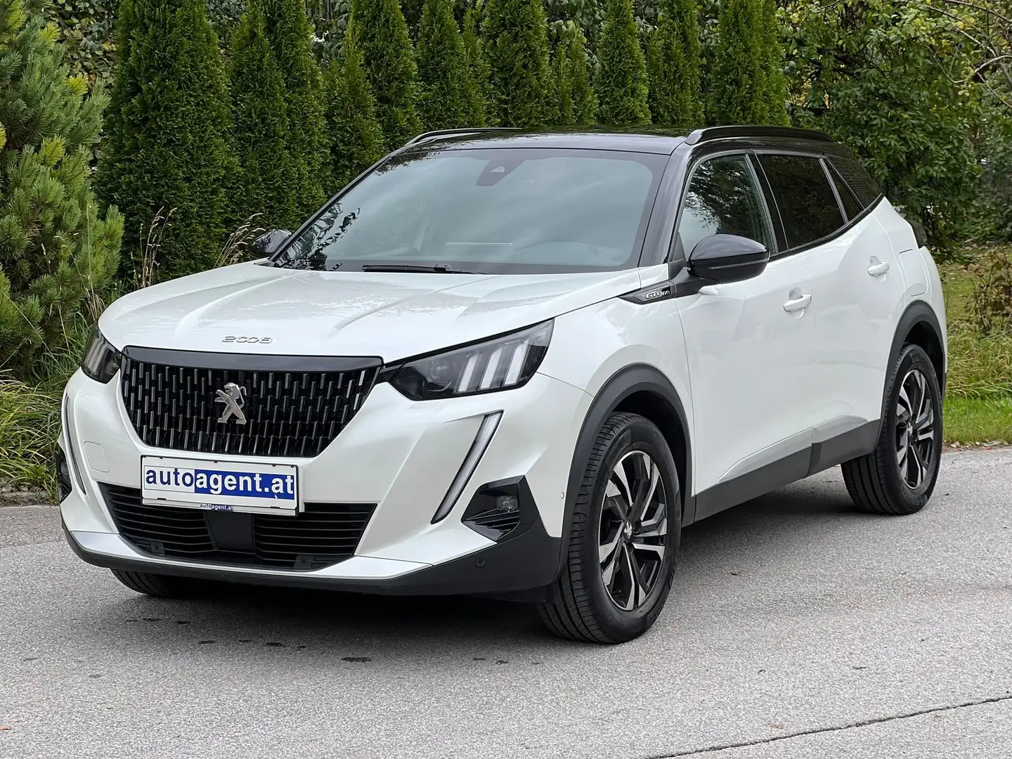 Peugeot 2008 GT Line 1.2 Pano SHZ NAVI Weiß - 1