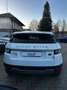 Land Rover Range Rover Evoque 5p 2.2 td4 Pure 150cv auto 9m Bianco - thumbnail 6