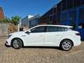 Renault Megane IV Grandtour Play 1.2 TCe 100 Energy,Navi,SHZ,GjR Bianco - thumbnail 7