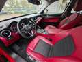 Alfa Romeo Stelvio Stelvio 2.2 Mjet - RWD - AT8 - 190 CV Rosso - thumbnail 5