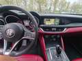 Alfa Romeo Stelvio Stelvio 2.2 Mjet - RWD - AT8 - 190 CV Rosso - thumbnail 6