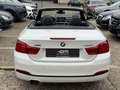 BMW 430 i Cabrio xDrive Sport Line/LED/HK/HUD/Leder Blanc - thumbnail 7