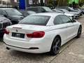 BMW 430 i Cabrio xDrive Sport Line/LED/HK/HUD/Leder Blanc - thumbnail 33