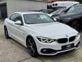 BMW 430 i Cabrio xDrive Sport Line/LED/HK/HUD/Leder Blanc - thumbnail 31