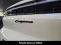 Porsche Cayenne E-Hybrid Panoramadach Surround-View Weiß - thumbnail 10