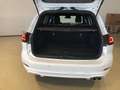 Ford Focus Turnier 1,0 EcoBoost Hybrid ST-Line Aut. Blanc - thumbnail 7