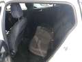 Ford Focus Turnier 1,0 EcoBoost Hybrid ST-Line Aut. Weiß - thumbnail 8