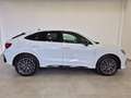 Audi Q3 SPB 40 TDI quattro S tronic S line edition Bianco - thumbnail 6