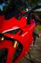 Ducati SuperSport 950S inkl. Garantie Rot - thumbnail 3