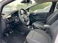Ford Fiesta Fiesta 5p 1.1 TITANIO 85cv my19.5 Weiß - thumbnail 6