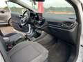 Ford Fiesta Fiesta 5p 1.1 TITANIO 85cv my19.5 Blanc - thumbnail 7