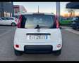 Fiat New Panda 0.9 TwinAir Turbo Natural Power City Life Bianco - thumbnail 13