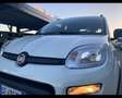 Fiat New Panda 0.9 TwinAir Turbo Natural Power City Life Bianco - thumbnail 2