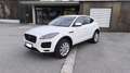 Jaguar E-Pace S AWD Weiß - thumbnail 14