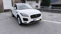 Jaguar E-Pace S AWD Weiß - thumbnail 12