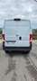 Fiat Ducato Natal Power - thumbnail 4