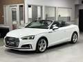 Audi S5 Cabrio 3.0 V6 TFSI 354 Cv Quattro Full Options - thumbnail 9