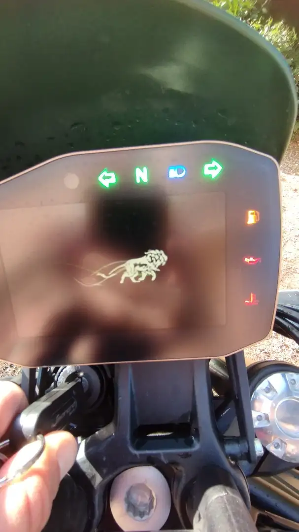 Benelli Leoncino 800 Trail Grün - 2