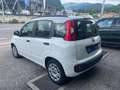 Fiat Panda 1.2 Lounge 69cv Bianco - thumbnail 5