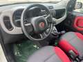 Fiat Panda 1.2 Lounge 69cv Bianco - thumbnail 8